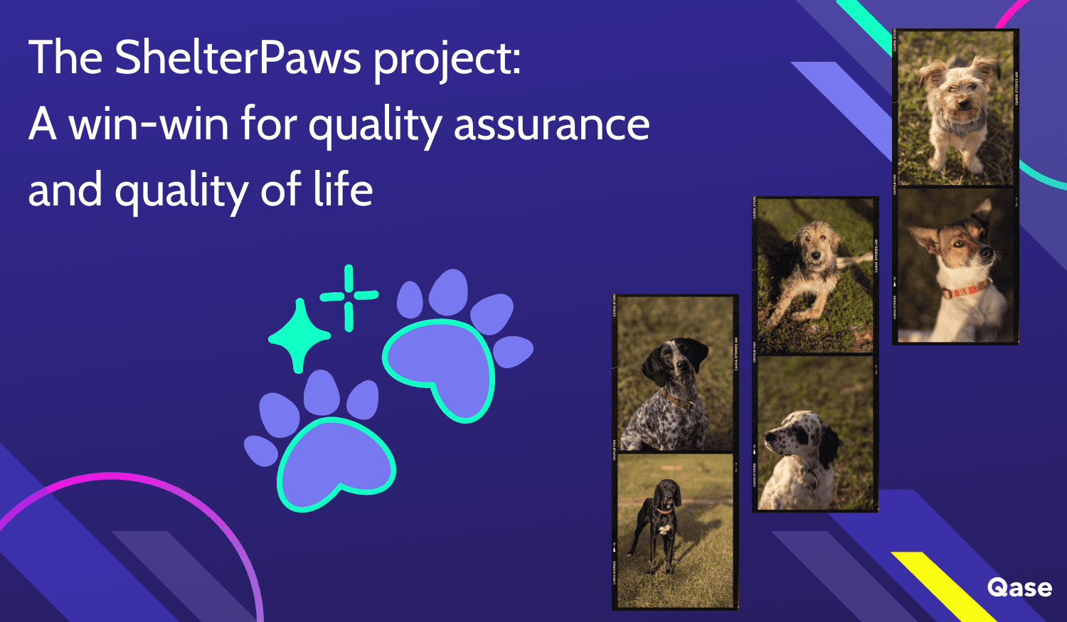 Text "The ShelterPaws project: A win-win for quality assurance and quality of life" next to photos of dogs