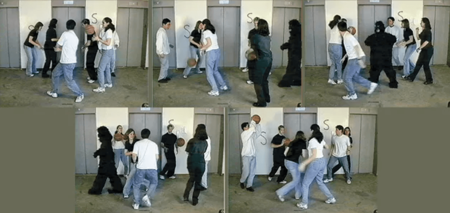 5 still frames from a video showing a group of people passing a basketball back and forth and ignoring a person wearing a gorilla suit walking by
